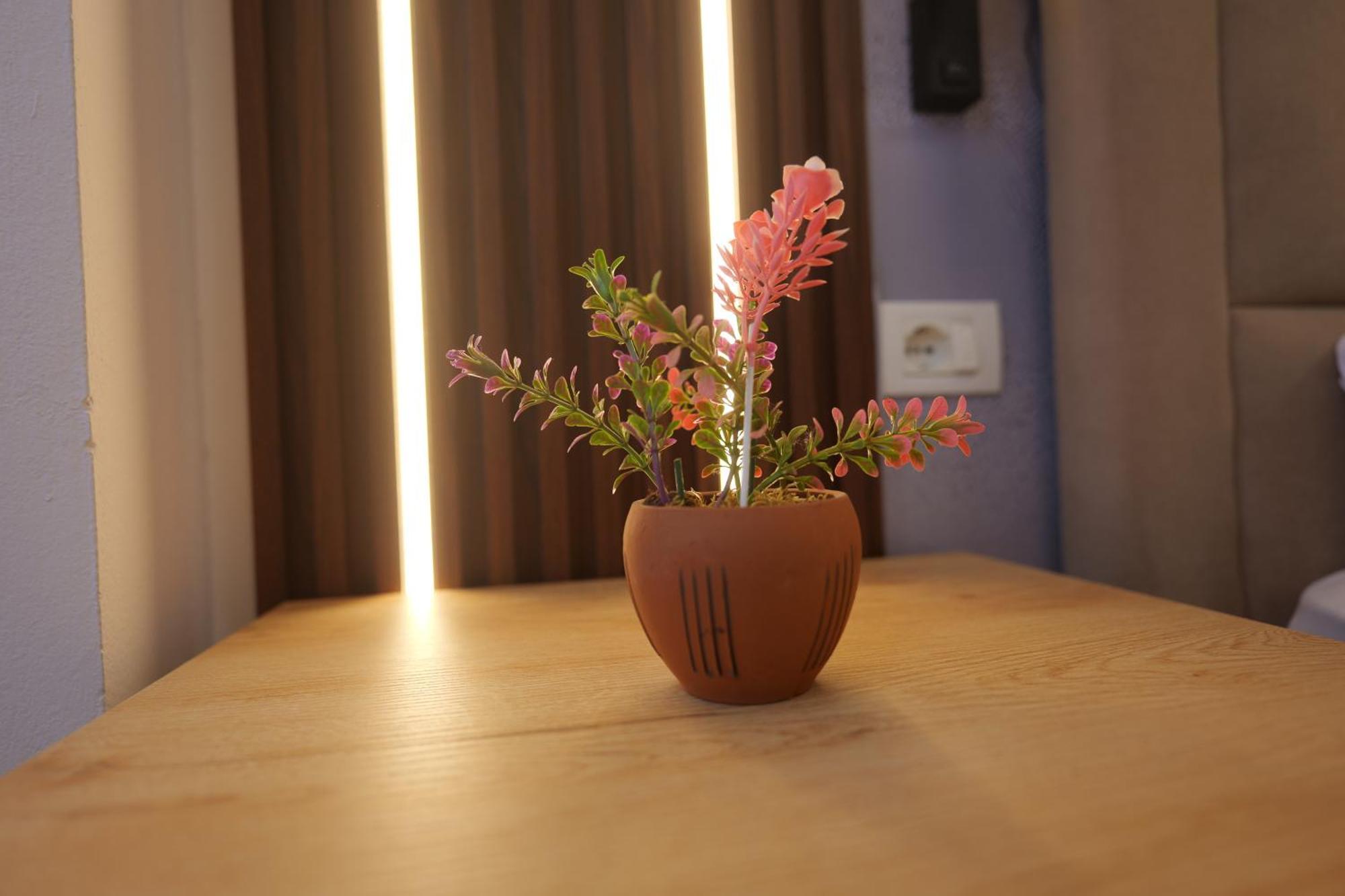Golden Sleep Hostel Шкодер Экстерьер фото